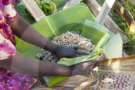 A woman wraps some groundnuts in a banana leaf.