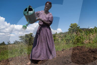 A woman waters her crops using a watering can.