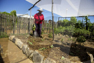 A female farmer watering is watering her vegetables with a watering can.
