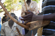 A group of men playing the chordophone which a musical instrument from the harp family.