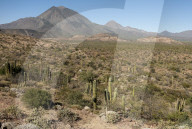 Volcan las Tres Virgenes, Santa Rosalia, Baja California, Mexico