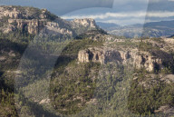 Volcanic plateau of Sierra Tarahumara (above Copper Canyon), Chihuahua, Mexico