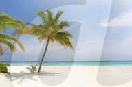 Tropical beach scene, Coco Pal Resort, Dhuni Kolhu, Baa Atoll, Republic of Maldives, Indian Ocean