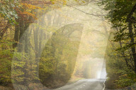Country road cutting through deciduous autumnal woodland on a misty morning, Limpsfield Chart, Oxted, Surrey, United Kingdom
