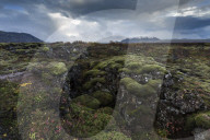 Mossy landscape with fissures, Pingvellir (Thingvellir) National Park, near Reykjavik, Iceland
