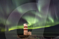 Spectacular display of the Aurora Borealis at Gardur, on the Reykjanes Peninsula, Iceland