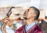 Snakecharmer, Djemaa el Fna, Marrakech, Morocco