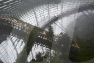 Inside the Cloud Forest biosphere at Gardens by the Bay, Singapore