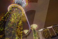 'Garden Rhapsody' music and lights show in the Supertrees at Gardens by the Bay, Singapore, Malaysia