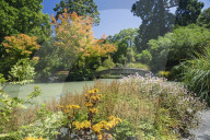 The Water Garden, Christchurch Botanic Gardens, Christchurch, Canterbury, South Island, New Zealand, Pacific