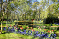 Keukenhof near Lisse, South Holland, Netherlands