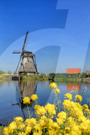 Windmill in Kinderdijk, South Holland, Netherlands