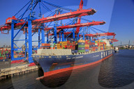 Container Terminal Waltershof, Harbour of Hamburg, Hamburg, Germany