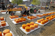Cheese Market in Gouda, South Holland, Netherlands