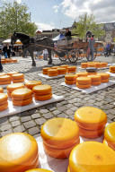 Cheese Market in Gouda, South Holland, Netherlands