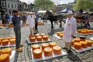 Cheese Market in Gouda, South Holland, Netherlands