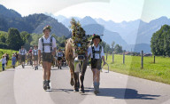 Viehscheid, the Annual Driving down of the Cattle from the Summer Mountain Pastures into the Valley, SchÃ¶llang, Allgaeu