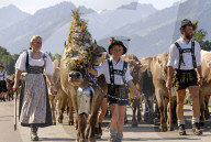 Viehscheid, the Annual Driving down of the Cattle from the Summer Mountain Pastures into the Valley, SchÃ¶llang, Allgaeu