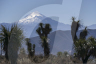 Pico de Orizaba