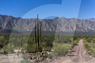 On the road in Baja California