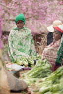 Africa, central Madagascar, Sendrisoa weekly market, near Ambalavao, vegetable sellers