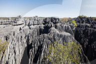 Africa, Western Madagascar, Tsingy du Bemaraha National Park, Grand Tsingy