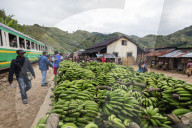 Africa, eastern Madagascar, Fianarantsoa to Manakara FCE train, bananas waiting to be transported