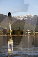 Giant fork sculpture from Alimentarium food museum, Lake Geneva (Lac Leman), Vevey, Vaud, Switzerland, Europe