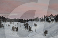 Pink clouds at dawn in the winter, Yellowstone National Park, Wyoming, USA