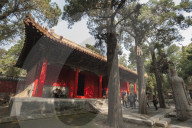 Confucius Forest and Cemetery, Qufu, Shandong province, China, Asia