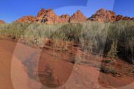 Clark Memorial wash, Valley of Fire State Park, Overton, Nevada, USA