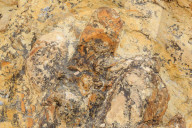 Parowan Gap Dinosaur Tracks & Remains, Iron County, Utah, USA