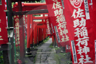 Alley in the Kamakura hills, Honshu, Japan