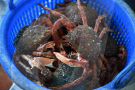 French fishermen say new conditions on licenses, implemented following the UK's departure from the EU, were imposed on April 30 without any discussion with French officials.  The new conditions caused around 50 French boats to converge on Jersey's harbour