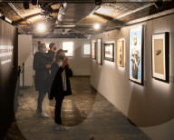 NEWS - The Art of Banksy: Ausstellung in London
