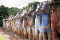Terracotta horses, each a votive offering to village guardian deity, Ayyanar, at the Solai Andavar shrine, Palathur, Tamil Nadu