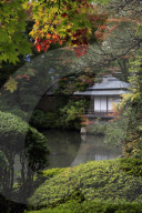 Japanese garden outside the Tokugawa Mausoleum, Nikko, Honshu