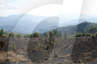 Desecration across beautiful Naga hills from the government slash and burn system, to improve land for cultivation, Nagaland