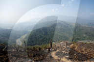 Green Naga hills stretching into the distance, scarred by brown scorched hill after slash and burn system has occurred, Nagaland