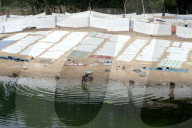 Dhobi wallah washing clothes in the Bhargabi River, handwashed laundry laid out to dry in the open air, Bhargabi River, Odisha
