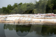Dhobi wallahs, a man and a woman, hand washing clothes in the river, laundry laid out to air dry, Bhargabi River, Odisha