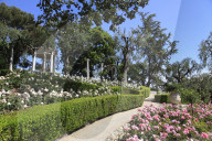 Rose Garden, Ephrussi de Rothschild Villa, Saint Jean Cap Ferrat, Cote d'Azur, French Riviera, Alpes-Maritimes, France, Euro