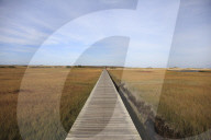 Sandwich Boardwalk, Salt Marsh, Sandwich, Cape Cod, Massachusetts, New England, United States of America