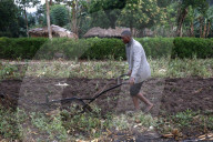 Ploughing.