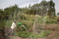 Farmer Apollo Byarunga received 2 loans from ENCOT microfinance.