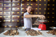 Traditional Chinese medicine pharmacy. Herbal medicine therapy.