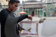 Taoist temple. Phuoc An Hoi Quan Pagoda. Man Releases Sparrow.