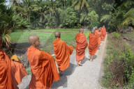 Morning alm round in Western Cambodia.