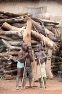 African children in a village. Togo.