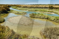 Waterways & cracked mud in the salt marshes of the island's west. nr Le Griveau, Ars en RÃ©, Ile de RÃ©, Charente-Maritime, France